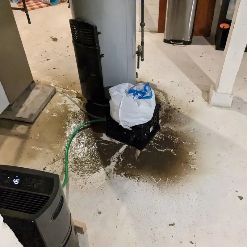 Sewage Backup Cleanup Service in Berea, KY